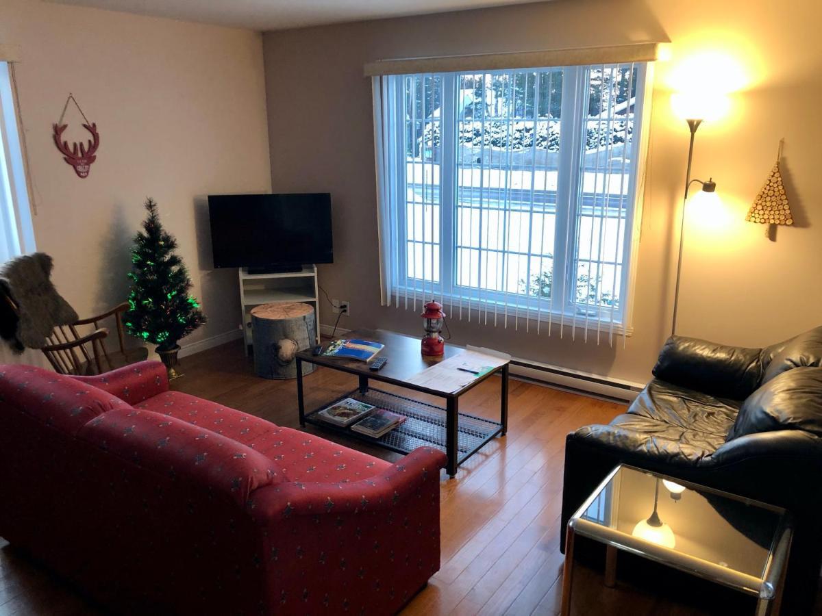 Saint-David-de-Falardeau Le Chalet De Claude, Au Pied Des Monts-Valin מראה חיצוני תמונה