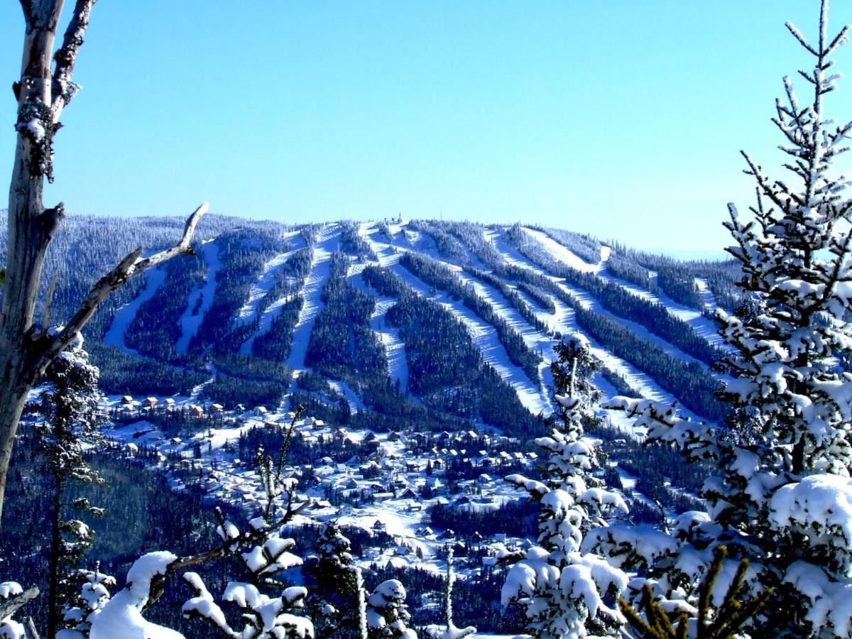Saint-David-de-Falardeau Le Chalet De Claude, Au Pied Des Monts-Valin מראה חיצוני תמונה