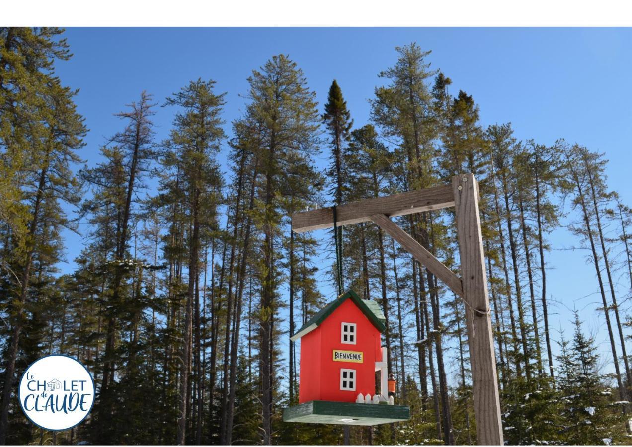 Saint-David-de-Falardeau Le Chalet De Claude, Au Pied Des Monts-Valin מראה חיצוני תמונה